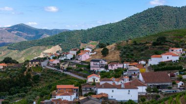 Douro Valley ve nehir Portekiz Pinhao Köyü yakınındaki teraslı üzüm bağları görünümünü. Kavram Portekiz seyahat ve Portekiz en güzel yerleri