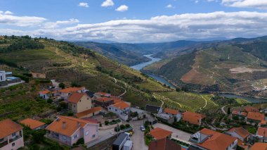 Douro Valley ve nehir Portekiz Pinhao Köyü yakınındaki teraslı üzüm bağları görünümünü. Kavram Portekiz seyahat ve Portekiz en güzel yerleri