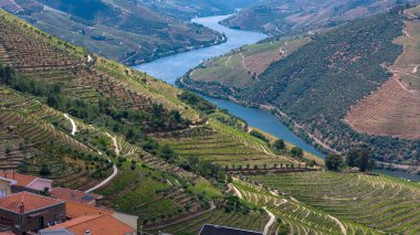 Douro Valley ve nehir Portekiz Pinhao Köyü yakınındaki teraslı üzüm bağları görünümünü. Kavram Portekiz seyahat ve Portekiz en güzel yerleri