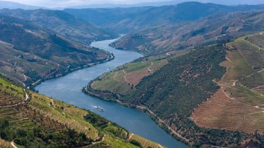 Douro Valley ve nehir Portekiz Pinhao Köyü yakınındaki teraslı üzüm bağları görünümünü. Kavram Portekiz seyahat ve Portekiz en güzel yerleri