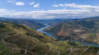 Douro Valley ve nehir Portekiz Pinhao Köyü yakınındaki teraslı üzüm bağları görünümünü. Kavram Portekiz seyahat ve Portekiz en güzel yerleri