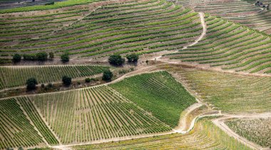 Douro Valley ve nehir Portekiz Pinhao Köyü yakınındaki teraslı üzüm bağları görünümünü. Kavram Portekiz seyahat ve Portekiz en güzel yerleri