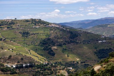 Douro Valley ve nehir Portekiz Pinhao Köyü yakınındaki teraslı üzüm bağları görünümünü. Kavram Portekiz seyahat ve Portekiz en güzel yerleri