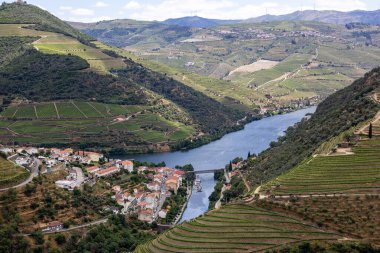 Douro Valley ve nehir Portekiz Pinhao Köyü yakınındaki teraslı üzüm bağları görünümünü. Kavram Portekiz seyahat ve Portekiz en güzel yerleri