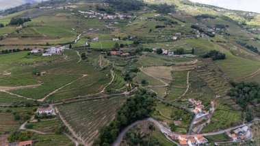 Portekiz 'in Douro Nehri Vadisi' ndeki teraslı üzüm bağlarının manzarası. Portekiz seyahat konsepti ve Portekiz 'in en güzel yerleri