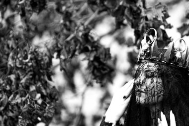 Cadılar Bayramı gecesinde taç giymiş bir kadın: peçenin arasından bir bakış, gizemli kraliçe