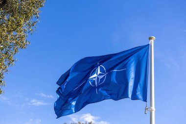 Mavi NATO bayrağı mavi gökyüzünde dalgalanıyor. Askeri ittifak sembolü
