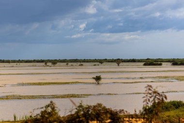 Kamboçya Manzaraları: Pirinç Tarlaları ve Akşam Ufukları