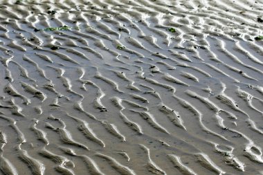 Sand and Water Textures During Low Tide clipart