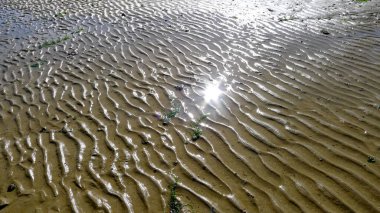 Düşük Gelgit sırasında kum ve su dokuları