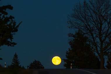 Dolunayın altında akşam vakti yol