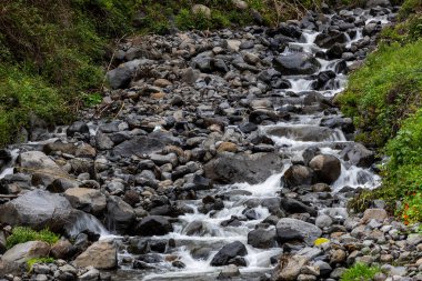 Madeira Kayalıkları İçinden Şelale Gibi Su