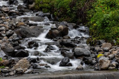 Madeira Kayalıkları İçinden Şelale Gibi Su