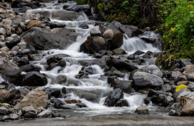 Madeira Kayalıkları İçinden Şelale Gibi Su
