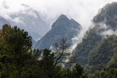 Şafakta Sis Madeiras Dağları 'nın Sarılması