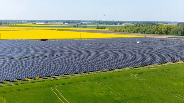 Litvanya 'nın Kırsal Bölgesindeki Güneş Enerji Santrali