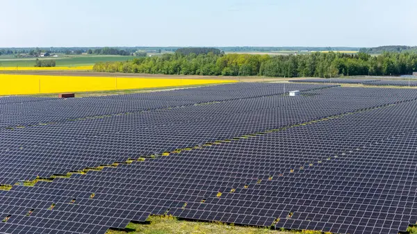 Litvanya 'nın Kırsal Bölgesindeki Güneş Enerji Santrali