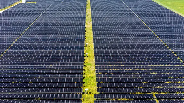 Litvanya 'nın Kırsal Bölgesindeki Güneş Enerji Santrali