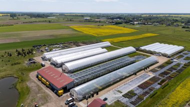 Kırsal Litvanya 'daki Josvainiu Çiçeği Modern Sera Çiçeği Çiftliği