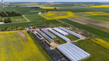 Kırsal Litvanya 'daki Josvainiu Çiçeği Modern Sera Çiçeği Çiftliği