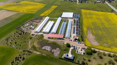 Kırsal Litvanya 'daki Josvainiu Çiçeği Modern Sera Çiçeği Çiftliği