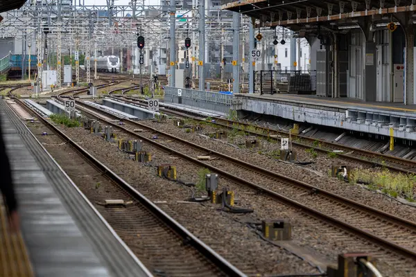 Japon Demiryolu Altyapısı: Hassasiyet, İşaretler ve Hızın Labirenti