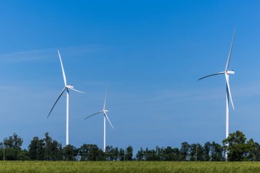 Yaz Alanlarında Rüzgar Türbinleri