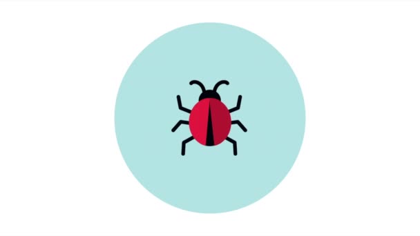 Ladybug — ஸ்டாக் வீடியோ