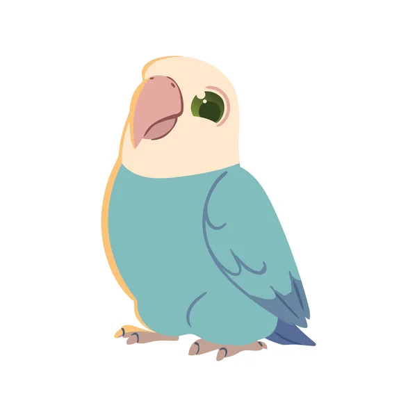 Papoušek Roztomilé Zvíře Ikona Izolované — Stockový vektor