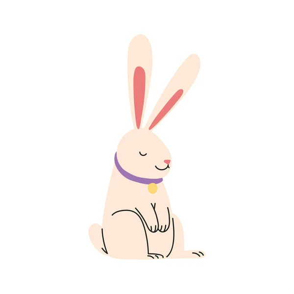 Haustier Kaninchen Flache Symbol Isoliert — Stockvektor