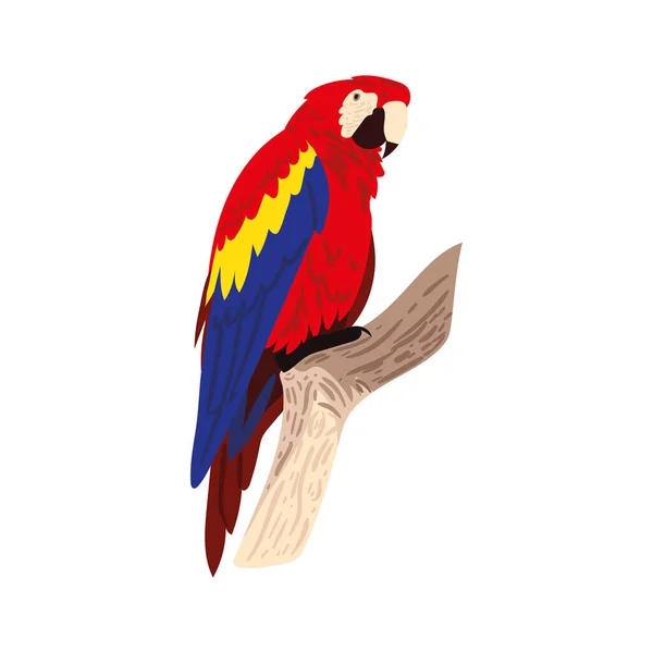 Macaw Sur Branche Icône Isolée — Image vectorielle