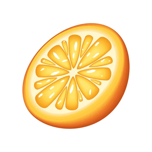 Rebanada Naranja Icono Plano Aislado — Vector de stock