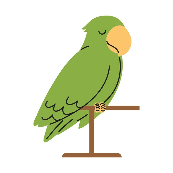 Domácí Papoušek Plochá Ikona Izolované — Stockový vektor