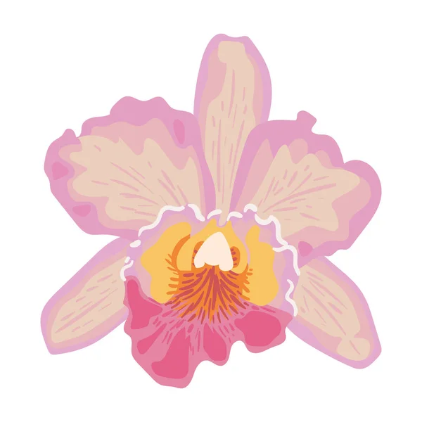 Orchidee Blume Symbol Flach Isoliert — Stockvektor