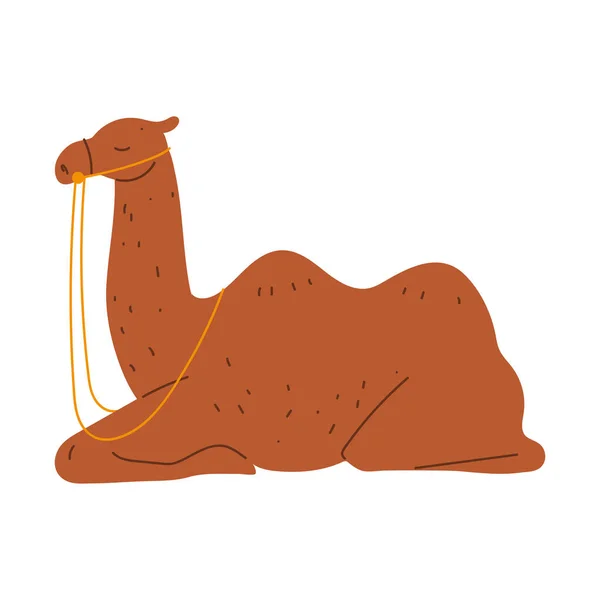 Icono Del Animal Camello Descansando Aislado — Vector de stock