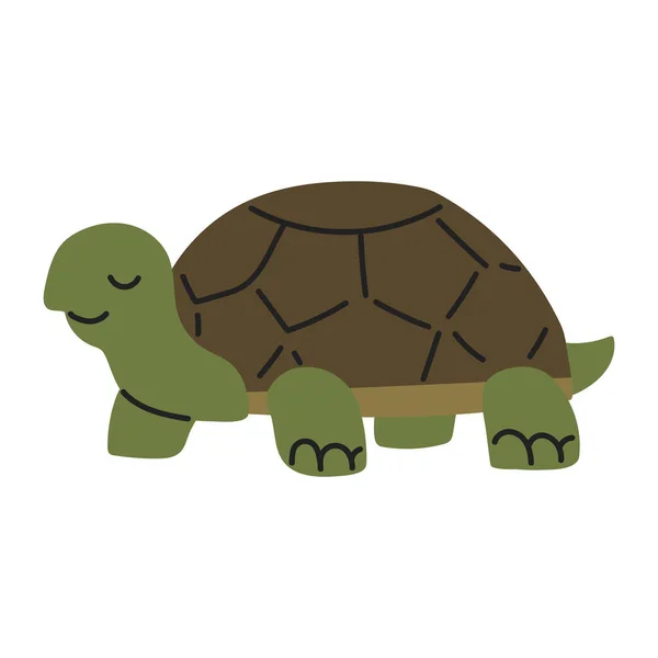 Żółw Żółw Zwierzę Ikona Płaskie Izolowane — Wektor stockowy