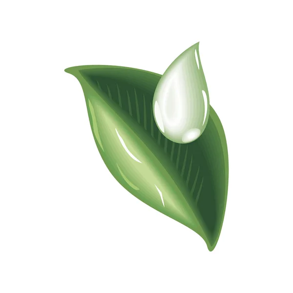 Serum Organic Leaf Icon Isolated — Stock Vector