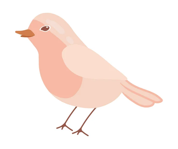 Lindo Icono Pájaro Dibujos Animados Aislado — Archivo Imágenes Vectoriales