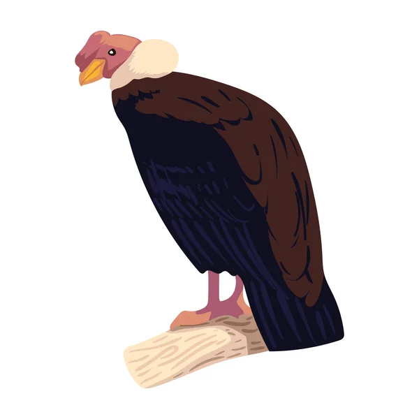Icône Oiseau Condor Andin Isolé — Image vectorielle
