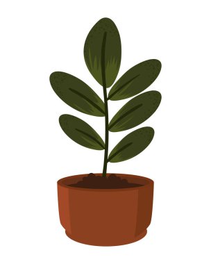 ev bitkisi ikonu izole edilmiş daire