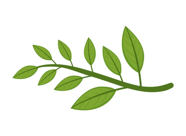 Matcha Leaves Icon Isolated Flat — Stock Vector