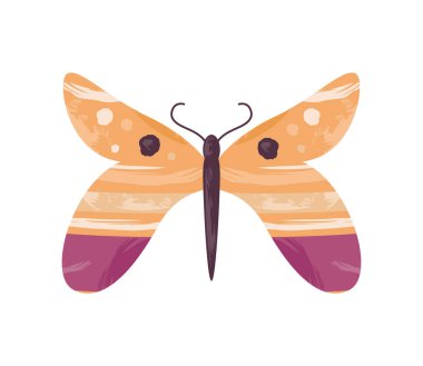 Kelebek boho tarzı simge izole edildi