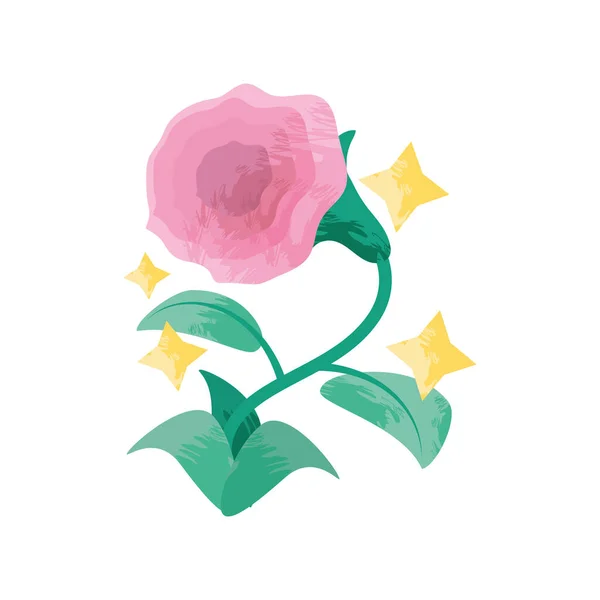 Rosa Blume Rose Symbol Isoliert — Stockvektor