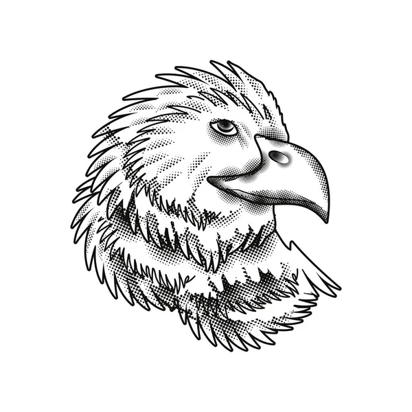 鹰纹身风格图标孤立 — 图库矢量图片