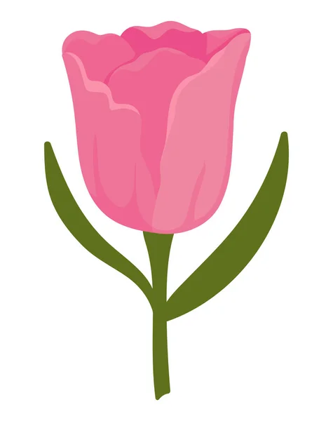 Blume Tulpe Symbol Flach Isoliert — Stockvektor