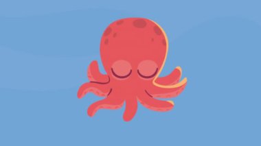Sevimli ahtapot hayvan karakteri animasyonu, 4k video animasyonu