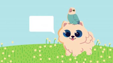 Papağan animasyonlu şirin köpek, 4k video animasyonu.