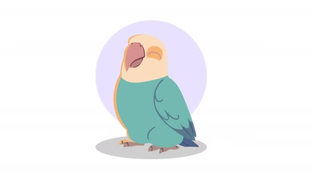 Bonito Papagaio Animal Personagem Animação Vídeo Animado — Vídeo de Stock