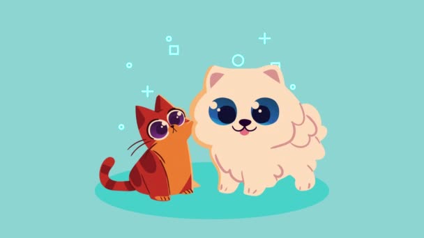 Ładny Kot Pies Maskotki Animacja Wideo Animowane — Wideo stockowe