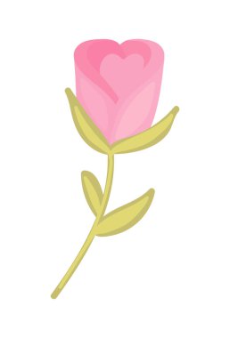 çiçek gül simgesi izole tasarımı